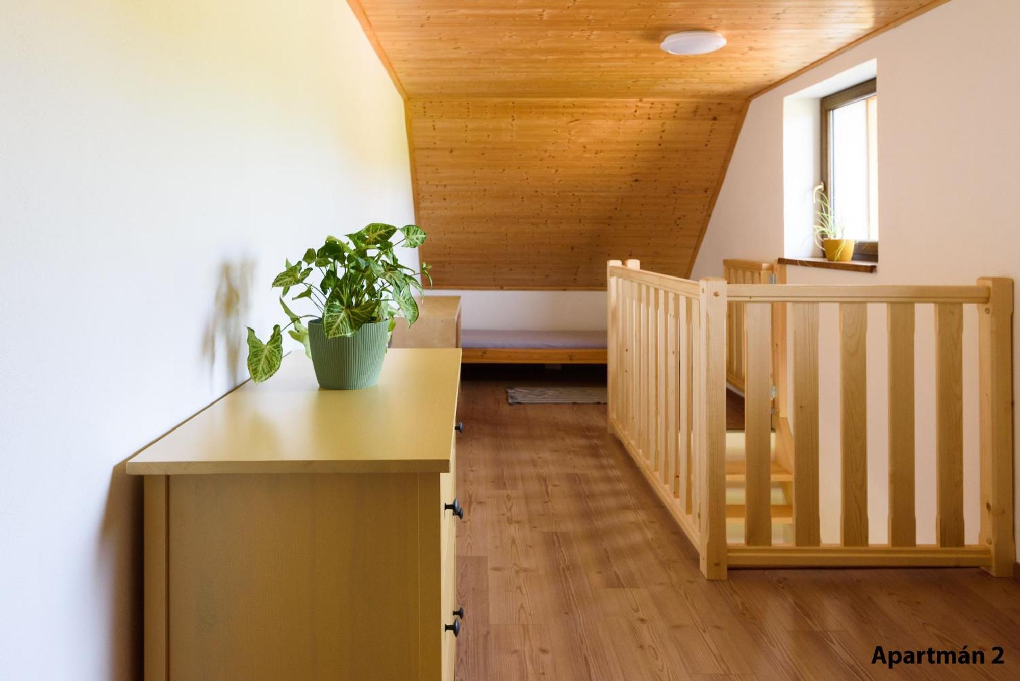 Apartmany U Mateje Dolní Morava Extérieur photo